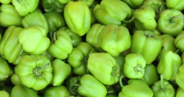 Lots Green Peppers Market Growing Organic Vegetables Healthy Food Vitamins — Stok video