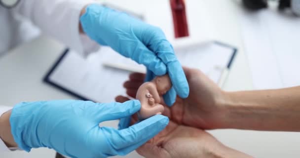 Médico Obstetra Ginecologista Dando Paciente Pequeno Modelo Artificial Feto Humano — Vídeo de Stock