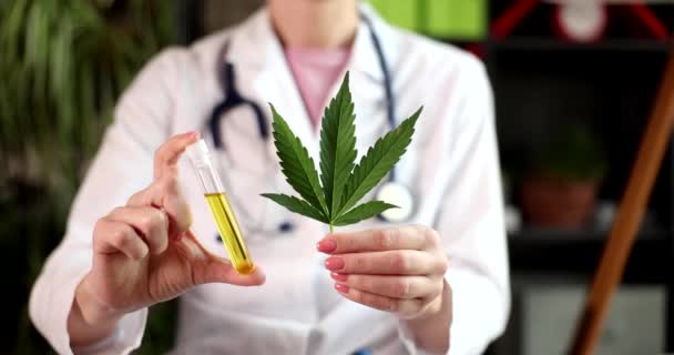Médico Muestra Hojas Cannabis Probeta Con Aceite Cáñamo Mujer Investiga — Vídeos de Stock