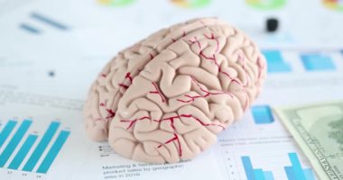 İnsan beyninin yapay modeli dokümanlarda yatıyor ve grafikler yakın çekim 4K yavaş çekim. İş kararları kavramını doğru yapmak