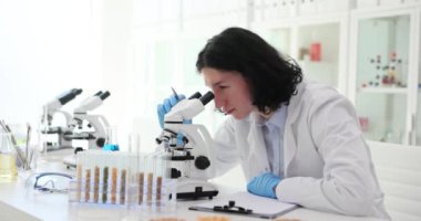 Bilim adamı laboratuvar asistanı mısır gevreklerinin kalitesini mikroskop altında kontrol ediyor. Farklı dozda gübre ve tahıl için mısır.