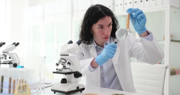 Livsmedelsforskare Håller Förstoringsglas Med Provrör Majs Vid Universitetet Forskning Och — Stockvideo