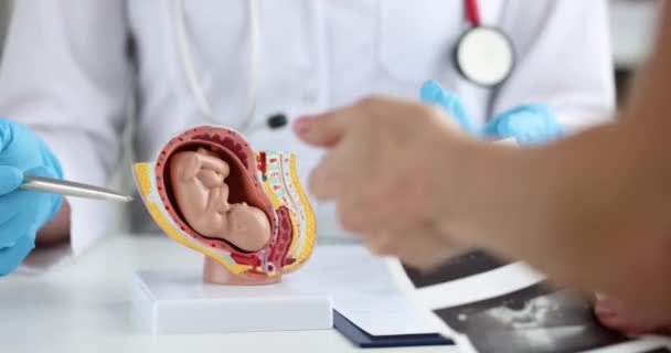Vrouw Bezoekt Gynaecoloog Het Ziekenhuis Voor Advies Zwangerschap Onderzoek Van — Stockvideo