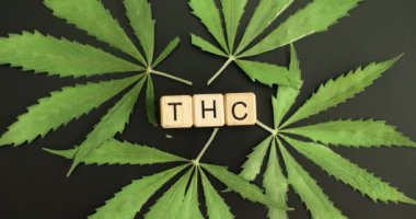 Kara masanın üzerinde taze kenevir yapraklarıyla çevrili ahşap küplerden oluşan THC kısaltması. Marihuana bitkisinde bulunan kimyasal madde.