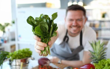 Erkek el Holding yeşil yıkanmış Sorrel Herb Bunch. Aşçı pişirme için bitkisel bitki demet hazırlanıyor. Organik Culinary için baharatlı yeşillikler ile Man vlogger. Aromatik Vegan madde yatay Fotoğrafçılık