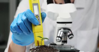Toprak laboratuvar analizi bilim adamı test cihazıyla toprak örneğinin pH 'ını ölçer. Agrokimyasal toprak araştırması