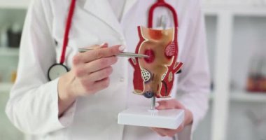 Doktor yapay rektum modelini elinde tutuyor ve patolojiler kalemi sorunlara işaret ediyor. Laboratuvar önlüğü uzmanı rektal kanal ağır çekimde hastalıkları açıklıyor
