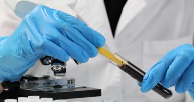 Laboratuvarda tıbbi aletle tüp içinde asit seviyesini test eden eldivenli bir kimyager. Aygıtın ucu rengi mor yavaş çekime çevirir