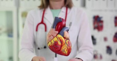Profesyonel tıp alanında insan kalbinin yapay bir modelini gösteriyor. Hafif klinik sınıfında insan organının detaylı yapısı ağır çekimde