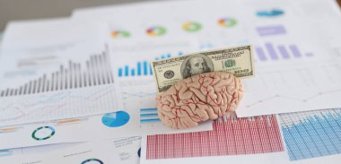 İnsan beyninin anatomik modeline sığan banknotların yakın çekimi, iş evraklarına konan minyatür. Zekanla para kazan. Zihin konseptiyle para kazan