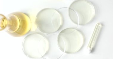 Petri kabının yanında ayçiçeği yağı şişesi ve beyaz masanın üzerinde test tüpleri. Bilimsel araştırmalar için profesyonel laboratuvar camları.