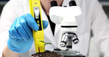 Laboratuvar çalışanı konteynırda kenevir bitkisi bulunan toprağın ph 'sini ölçmek için metre kullanıyor. Tıbbi amaçlar için marihuananın büyümesi yavaş çekim