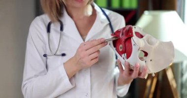 Üniformalı doktor, modelde üreme organları olan sağlıklı kadın leğen kemiğini inceliyor. Steteskoplu bir kadın ağır çekimde vücut parçasının modelini tutuyor.