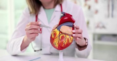 Üniformalı doktor insan kalbinin yapay modelini inceliyor. Kadın klinikteki masada oturuyor ve organların yapısını yavaş çekimde anlatıyor.