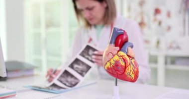 Hastanın ultrason resmini inceleyen doktorlara karşı kalbin yapay modeli masada duruyor. İnsan organının detaylı yapısı yavaş çekimde