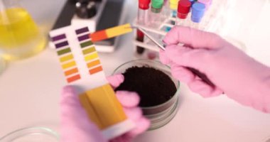 Scientist with saltpeter samples Founded to study biotechnology in laboratory. Biologist uses PH test strips of soil samples. Ecology and environmental pollution biological experiment.