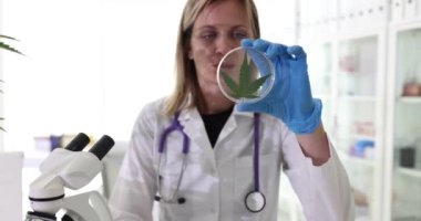Bilim adamı detaylı inceleme için marihuana yaprağı hazırlıyor. Gelişmiş ekipmanlarla donatılmış laboratuvar araştırmacılara deneyler yapma olanağı sağlıyor.