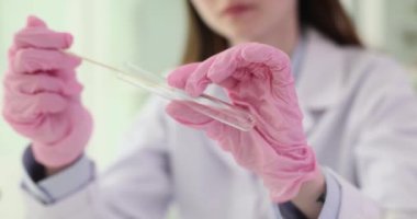 Kadın bilim adamı kulak çubuğunu laboratuvarda tüpe sokuyor. Kadın araştırmacı, laboratuvar aletlerinin ustalıkla kullanıldığını gösteriyor