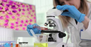 Tıbbi araştırmacı örnekleri mikroskop kullanarak inceliyor. Kadın bilim adamı modern laboratuvarda deneysel görevleri eksiksiz gerçekleştiriyor.