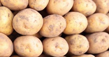 Ekilmiş patatese yakın çekim. Çiftçilerin ve diyet gıda konseptinin yetiştirdiği sağlıklı ve lezzetli yiyecekler.