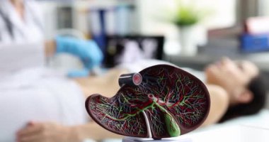 Klinikteki bir kadının karın boşluğunda mide ve karaciğer ultrasonu teşhisi. Ultrasonik sensör konseptiyle iç organların teşhisi