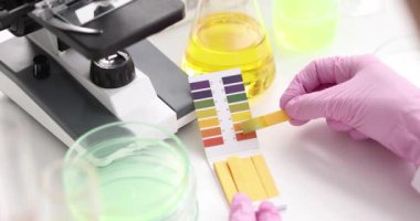 Laboratuvardaki kimyager ph bantlarıyla kontrol ediyor. Biyolog laboratuvar konseptindeki kimyasal alkali analizi kontrol ediyor.