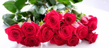 Many buds of red roses on a white background, close-up, wallpaper. Congratulations on the holiday of lovers, a large bouquet of flowers