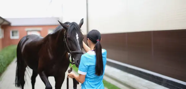 stock image A woman in the street stroking the muzzle of a brown horse, close-up. Stable staff, veterinary examination