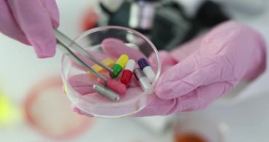 Kadın araştırmacı, kimyasal inceleme için Petri kabında kapsüller düzenliyor. Etkin eczacılık malzemelerinin ortaya çıkarılması...