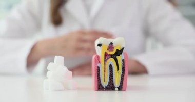 Diş hekimi, masadaki diş modeline ve şeker küplerine dikkat çekiyor. Kadın dişçi aşırı şeker alımı ve çürük oluşumu arasındaki bağlantıyı vurguluyor