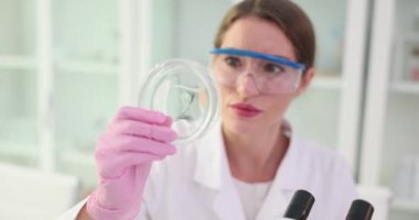 Genç bilim kadını Petri kabındaki numuneleri inceliyor. Uzman araştırmacı örnek ağır çekimde doku ve renkteki değişiklikleri analiz eder