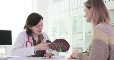 Doktor plastik model kullanan hastaya karaciğer ameliyatı konseptini açıklıyor. Kadın terapist, organ hasarlı kısımlarını gösteriyor.