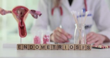 Harf bloklarında kelime endometriyozisi ve masada yazan doktorun bulanık görüntüsü. Kadın üreme sistemi ve hastalık adının anatomik modeli