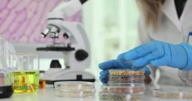 Nitelikli bilim adamı, tohumların şeklini ve dokusunu Petri kabında inceliyor. Araştırmacı farklı tohumların fiziksel özelliklerini yavaş çekimde analiz eder.