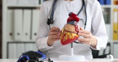 Kadın doktor elleri klinikteki iş yerinde yapay kalp modelini değiştirir. Stetoskop melodili kadın doktor derste gösteri için örnek olarak