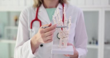 Doktor, el iskeletinin el modelini tutuyor. İskelet kemiği muayenesi veya kanser ve artrit testi için tıbbi bakım