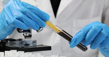 Toprak laboratuvar analizi uzmanı, toprak örneğinin pH 'ını turnusol şeritleriyle ölçüyor. Agrokimyasal toprak araştırması