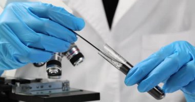 Laboratuvarda kimyasal analiz için toprak örneği. Toprak ve toprağın kimyasal analizi