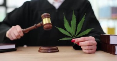 Elinde marihuana yaprağı olan bir yargıç mahkeme salonunda tokmakla kapıyı çalar. Esrar kaçakçılığı cezaları