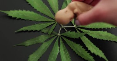 İnsan fetüs embriyosu ve marihuana yapraklarının yapay modeli. Hamilelik üzerinde uyuşturucu etkisi