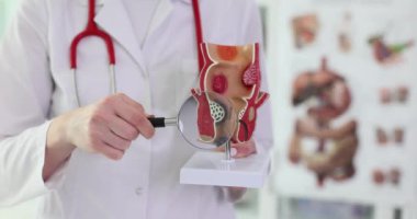 Doktor, öğrencilere detayları göstermek için büyüteç kullanan plastik rektum modeline işaret ediyor. Steteskoplu beyaz önlüklü doktor anatomi dersi veriyor.