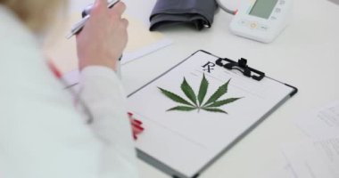 Kadın doktor tıbbi amaçlar için marihuanayı onaylayan belgeye mühür basıyor. Uzman klinikteki masada oturuyor. İyi niyetli uyuşturucu kullanımı kavramı