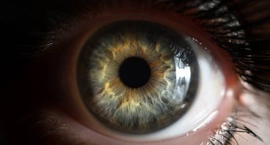 Makro çekimde çekilmiş güzel yeşil gözlükleri olan insan gözünün yakın çekimi. İnsan görüşünün detaylı resmi, iyi görüş. Oftalmoloji, görsel duyu konsepti.