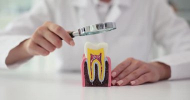 Dişçi diş hekimliğinde diş modelini incelerken büyüteç kullanıyor. Kadın, popüler hastalıkları ve tedavi seçeneklerini açıklıyor