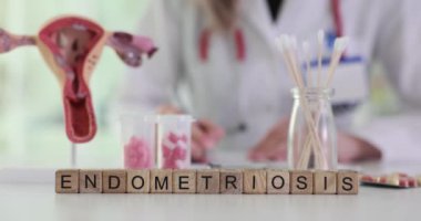 Tahta bloklar hakkında kelime endometriyozisi ve klinikte rahmi anatomik modelli bulanık bir doktor. Sağlık için jinekolojik muayene önemli