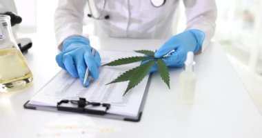 Kenevir yaprağı olan doktor ve kalem çalışma verileri masada hesap tablosunda. Tıbbi uzman, marihuanayı ilaç kullanımı için analiz ediyor.