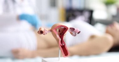 Özel klinikte ultrason makinesiyle muayene edilen hastaya karşı rahim modeli. Kadın hasta jinekolojik muayeneden geçiyor.
