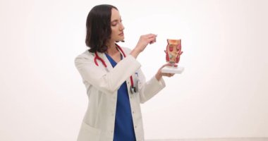 Kadın doktor beyaz arka planda insan rektumu modeli gösteriyor. Esmer tıp uzmanı, sindirim sisteminin eğitici materyallerle çalıştığını açıkladı.