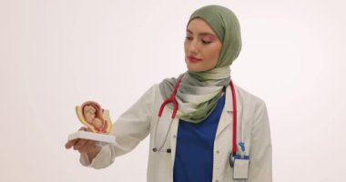 Başörtülü Müslüman kadın jinekologlar, beyaz fetüs modeli ile uterusu gösteriyor. Üniformalı doktor hasta bayana doğum öncesi konsültasyon sağlıyor.