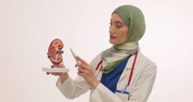 Kendine güvenen tesettürlü kadın doktor beyaz arka planda böbrek modeli tutuyor. Türbanlı kadın doktor hasta hastaya hastalığın açıklamasını yapıyor